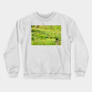 fli country gardens Crewneck Sweatshirt